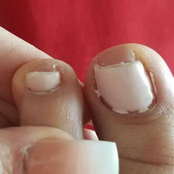 What is the tuition and cost breakdown for programs at Artistic Nails and Beauty Academy Tampa What is the tuition and cost breakdown for programs at Artistic Nails and Beauty Academy Tampa